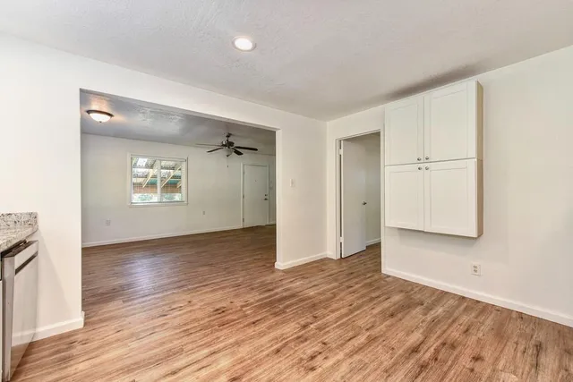 a view of road with large trees