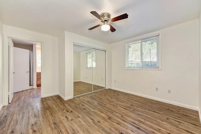 a view of a tree in the middle of a yard