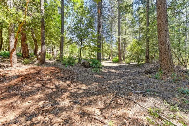 $990,000 | 6960 Blackhawk Lane, Foresthill, CA 95631