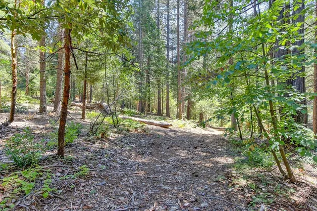 $990,000 | 6960 Blackhawk Lane, Foresthill, CA 95631