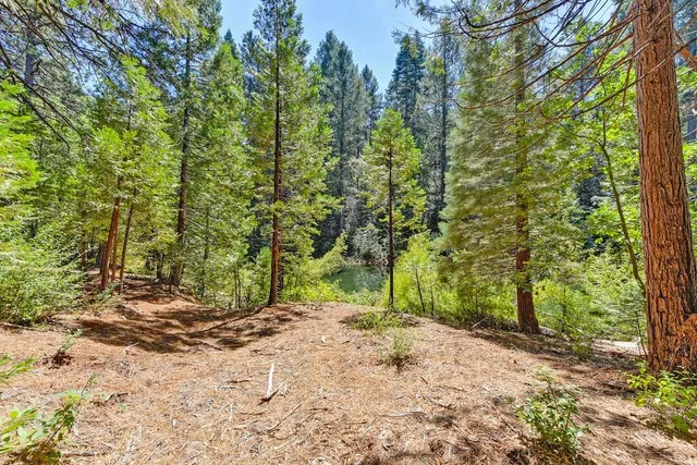 $990,000 | 6960 Blackhawk Lane, Foresthill, CA 95631