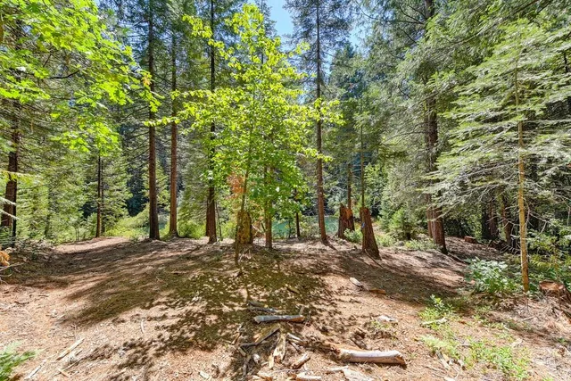 $990,000 | 6960 Blackhawk Lane, Foresthill, CA 95631