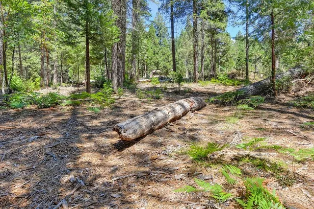 $990,000 | 6960 Blackhawk Lane, Foresthill, CA 95631