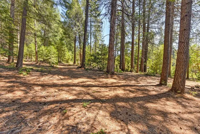 $990,000 | 6960 Blackhawk Lane, Foresthill, CA 95631