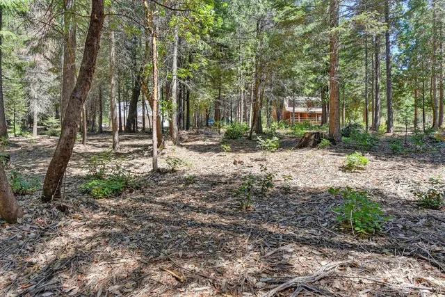 $990,000 | 6960 Blackhawk Lane, Foresthill, CA 95631