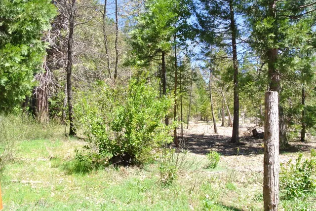 $990,000 | 6960 Blackhawk Lane, Foresthill, CA 95631