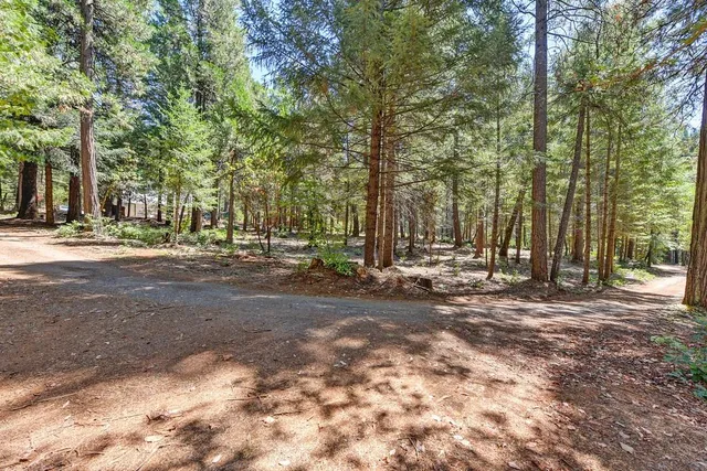 $990,000 | 6960 Blackhawk Lane, Foresthill, CA 95631