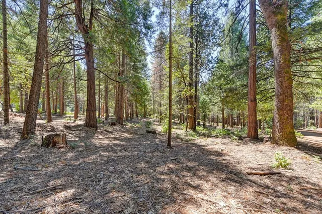 $990,000 | 6960 Blackhawk Lane, Foresthill, CA 95631