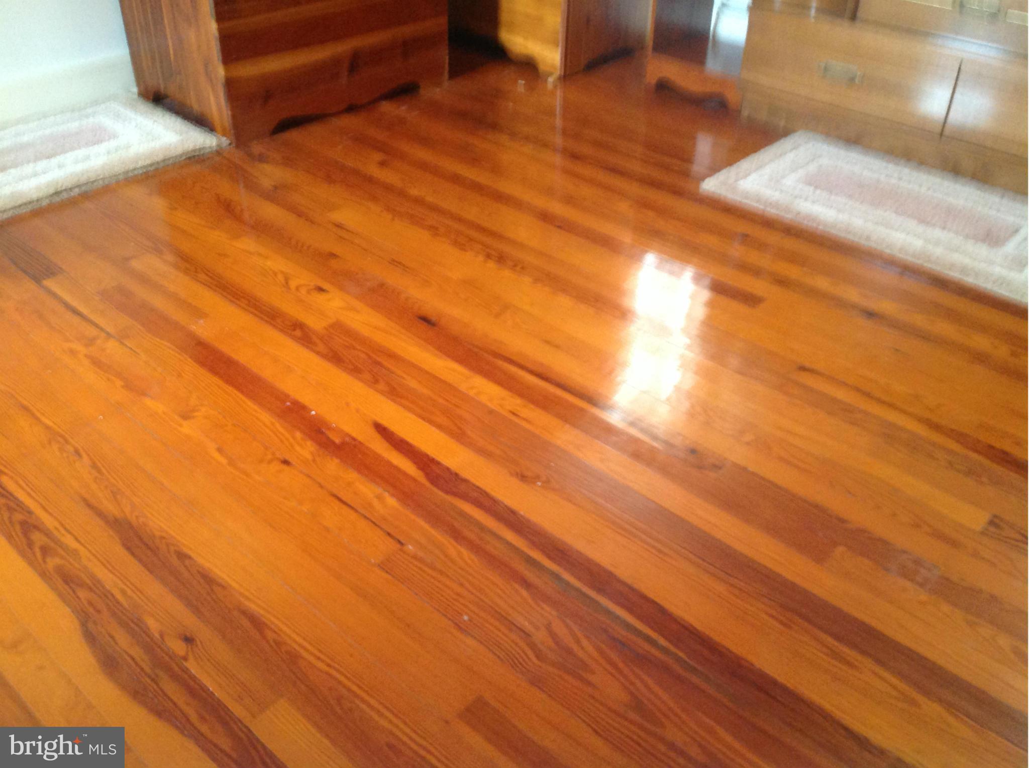 4976 Skinners Neck Road Rock Hall, MD 21661 - Photo 15 of 18 Beautiful hardwood floor in bedroom.