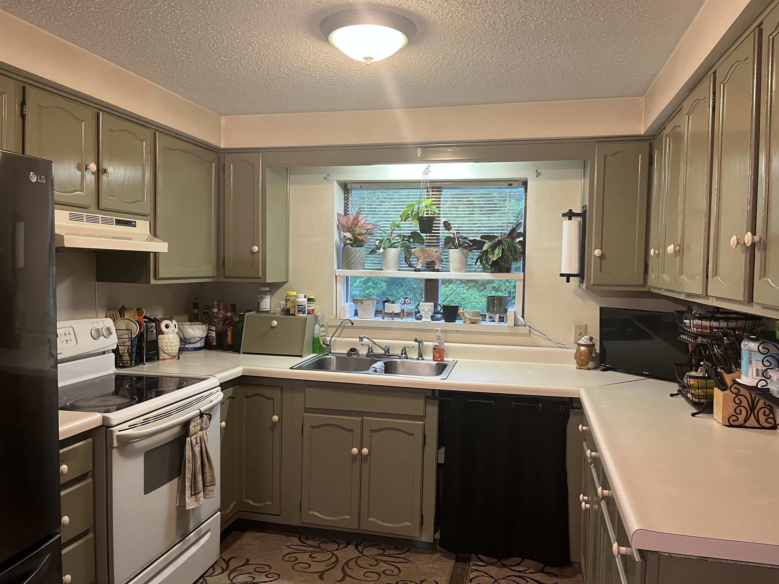13502 Fowler Road Chesaning, MI 48616 - Photo 6 of 28
