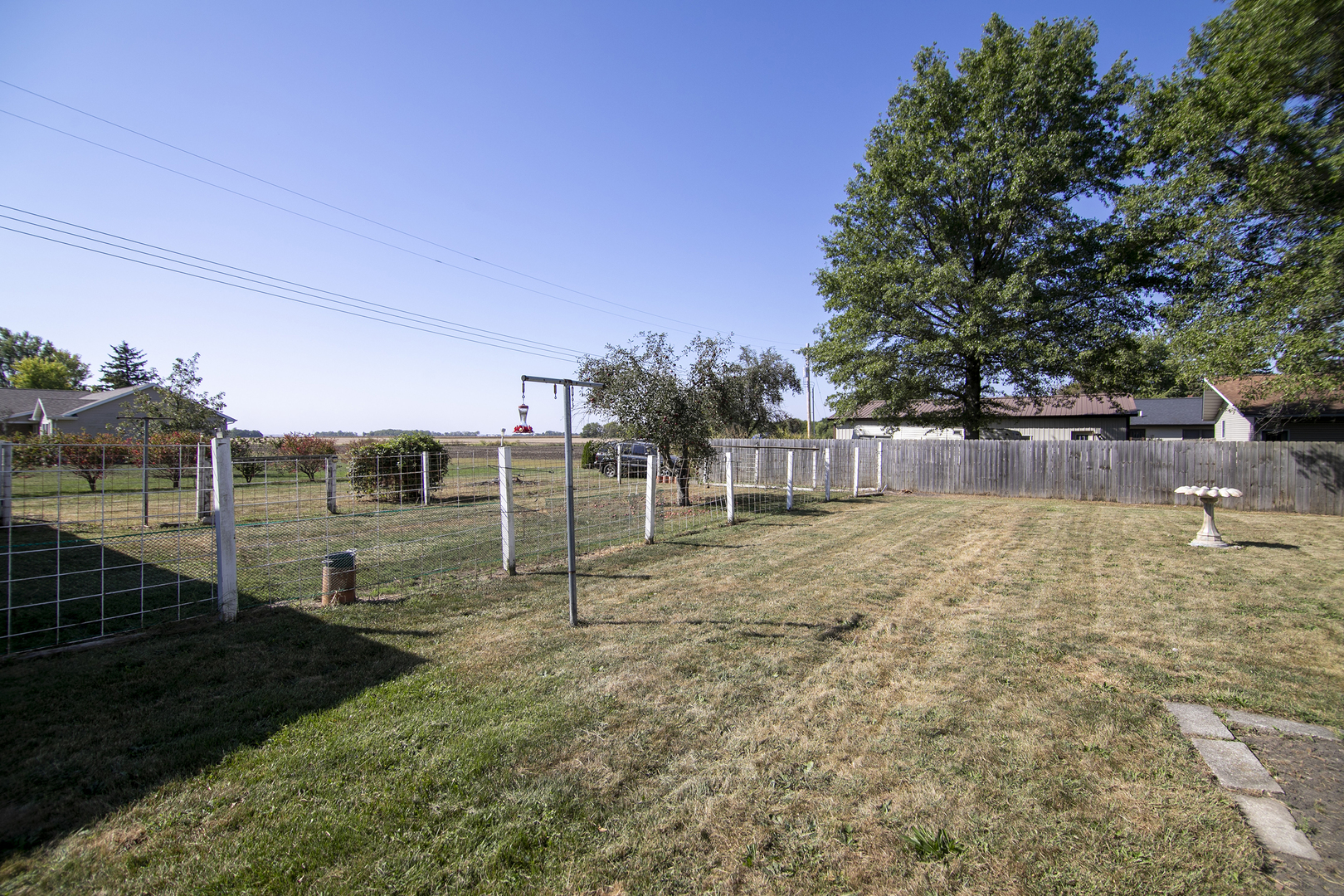 126 East Cleveland Street Cullom, IL 60929 - Photo 24 of 29 a view of a yard with an trees