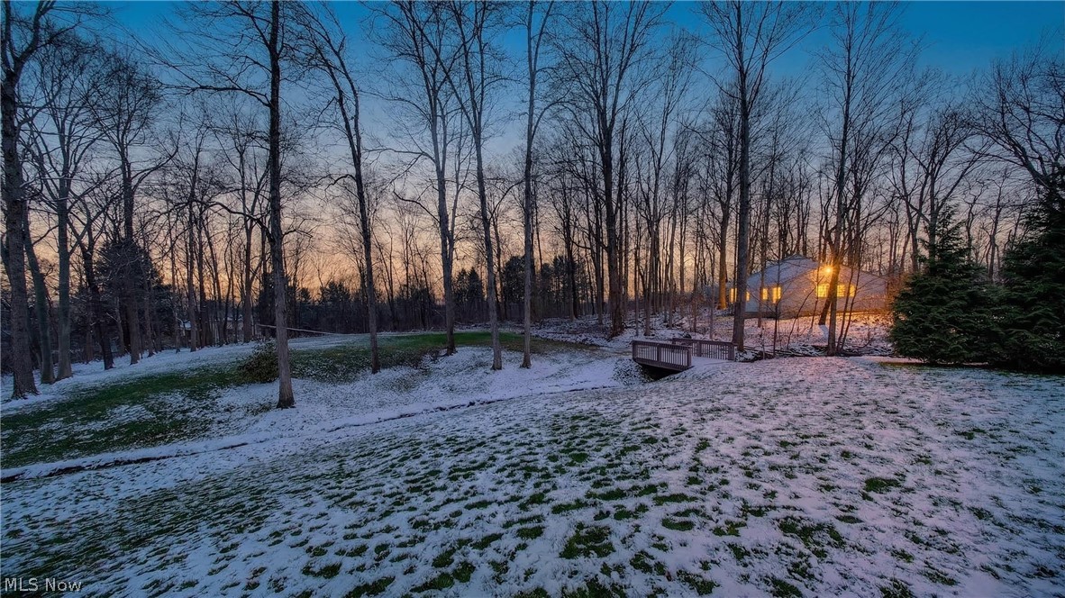 2816 Woodbridge Road Hudson, OH 44236 - Photo 42 of 48