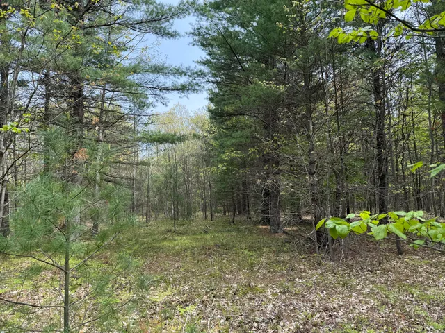 $135,000 | Critter Trail, Unit PARCEL C, Manistee, MI 49660