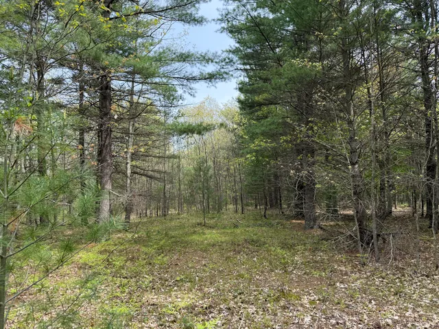 $135,000 | Critter Trail, Unit PARCEL C, Manistee, MI 49660