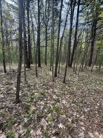 $135,000 | Critter Trail, Unit PARCEL C, Manistee, MI 49660