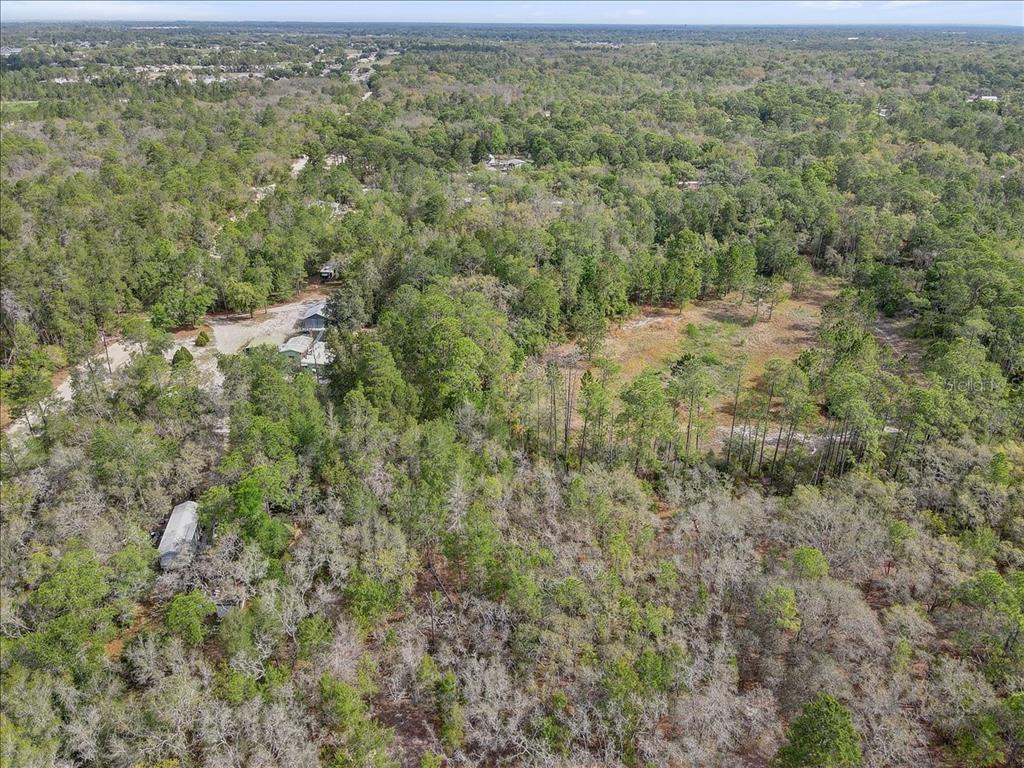 17528 Coyote Road Hudson, FL 34667 - Photo 50 of 60