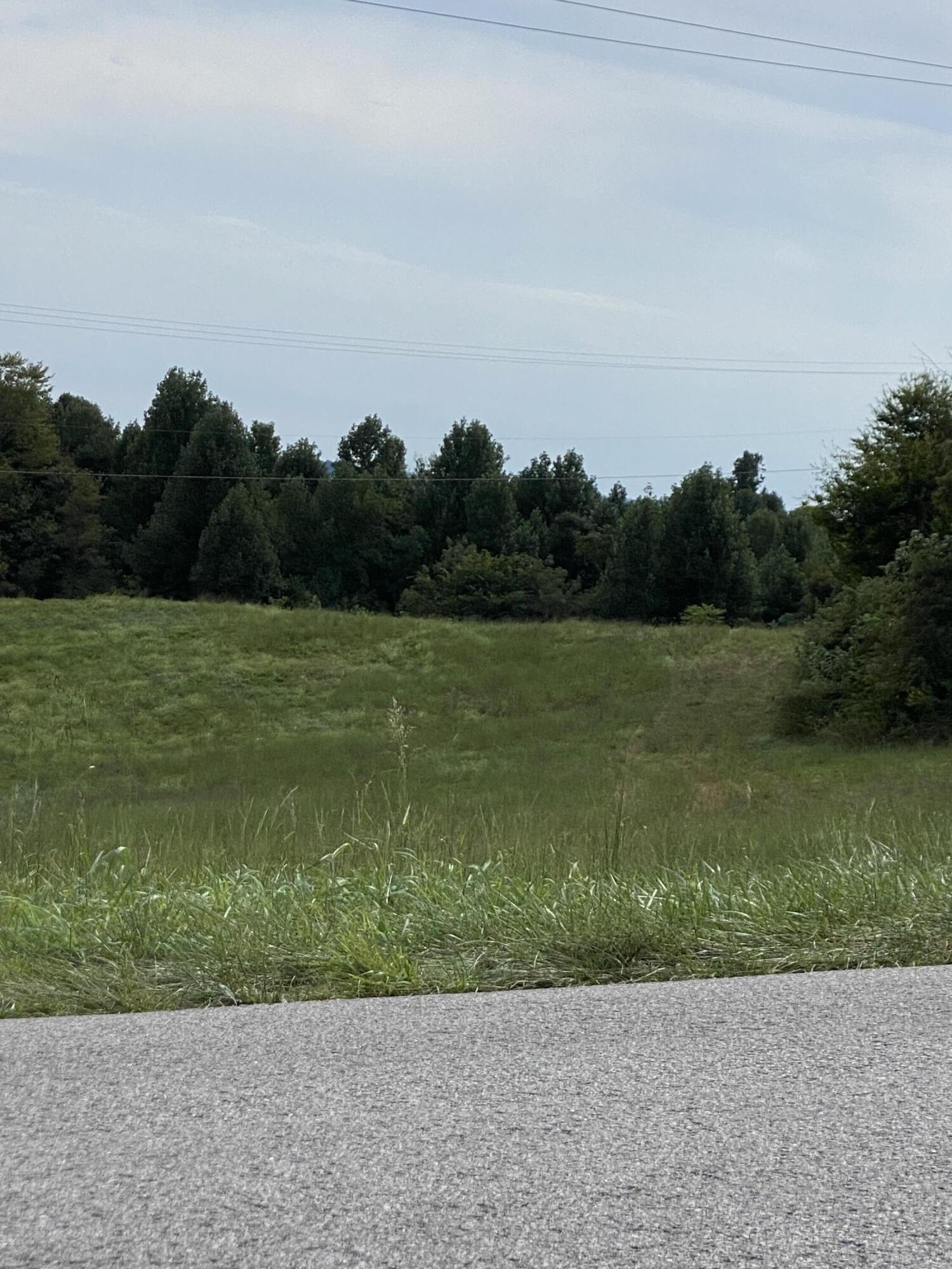 Lot F Greasy Ridge Road Stanford, KY 40484 - Photo 2 of 2 IMG_7428