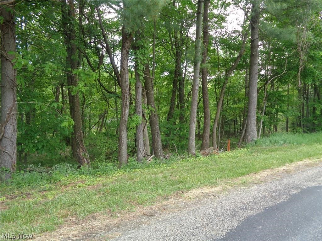 Eberhart Road Dover, OH 44622 - Photo 4 of 12 Gallery Image 4