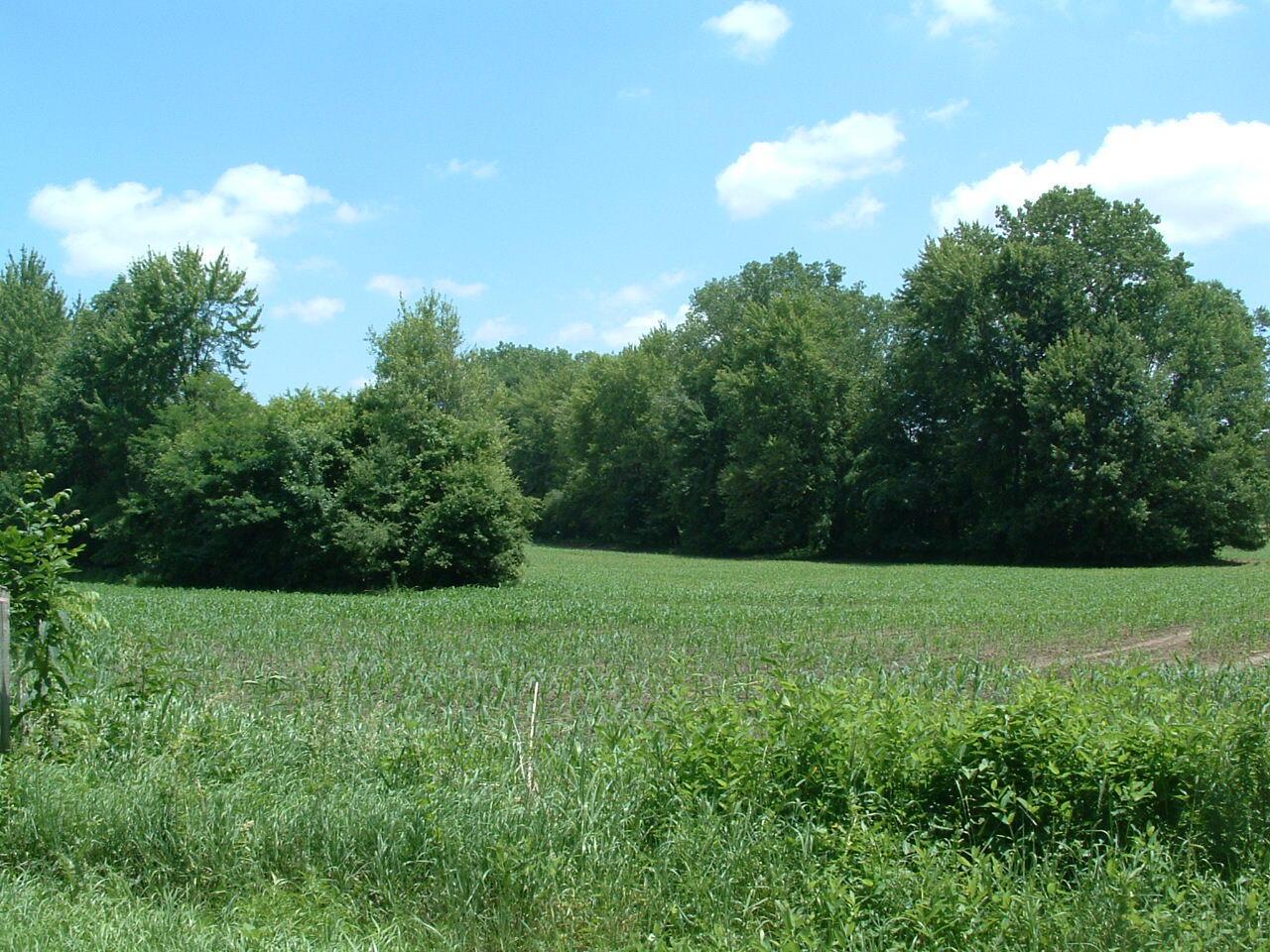0 Clover Valley Road Northwest Johnstown, OH 43031 - Photo 13 of 16 DSCF0013