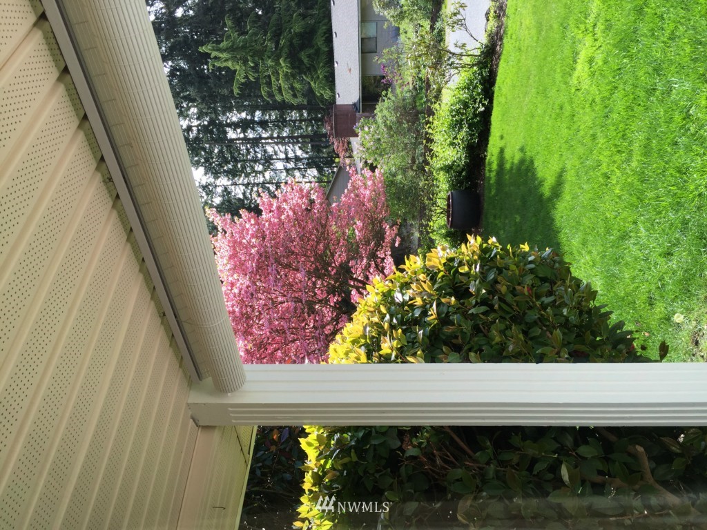 14700 167th Place Southeast Renton, WA 98059 - Photo 17 of 18
