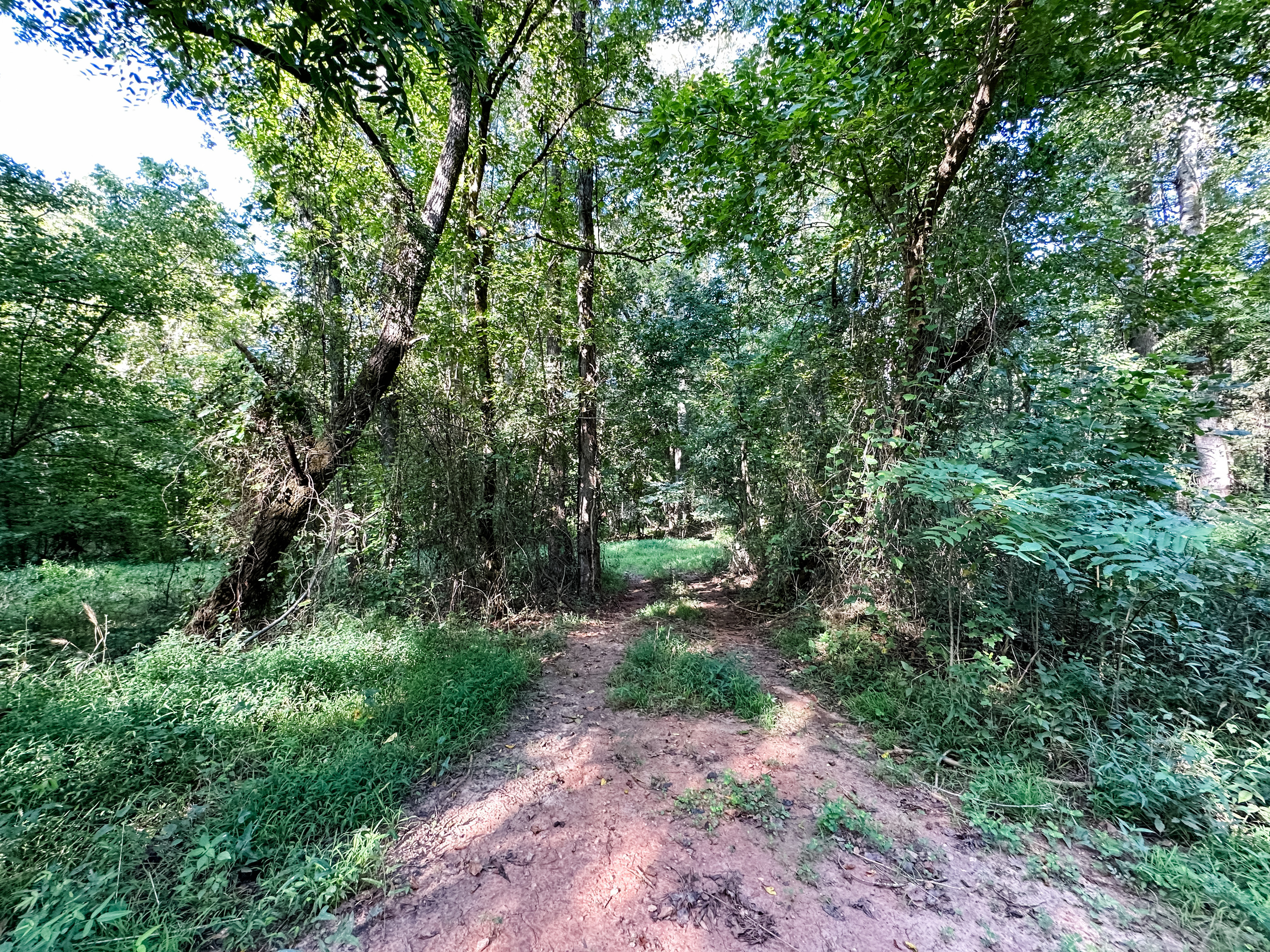 Tract 1 Jordan Road, Unit 34 92 ACRES Monticello, GA 31064 - Photo 1 of 1 Gallery Image 1