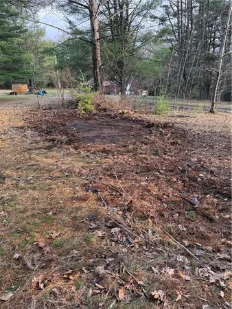 a view of a yard with plants and trees