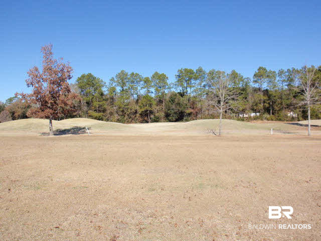 0 Carnoustie Court Foley, AL 36535 - Photo 1 of 1