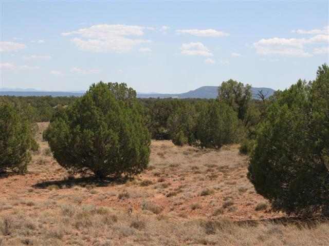 9157 Concho Az 85924 Concho, AZ 85924 - Photo 1 of 5