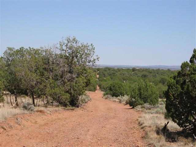 9157 Concho Az 85924 Concho, AZ 85924 - Photo 2 of 5