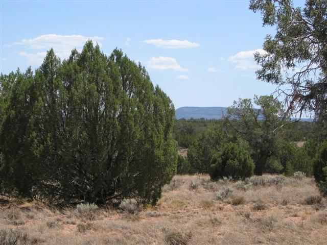9157 Concho Az 85924 Concho, AZ 85924 - Photo 3 of 5