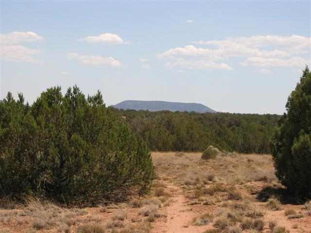 9157 Concho Az 85924 Concho, AZ 85924 - Photo 4 of 5