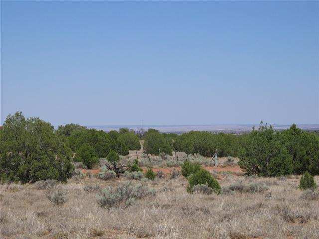 9157 Concho Az 85924 Concho, AZ 85924 - Photo 5 of 5