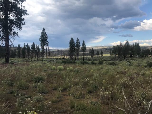 30 Ruffed Grouse Lane, Unit 29 Chiloquin, OR 97624 - Photo 12 of 25 This area is a short trip to Klamath Falls or Klamath Lake area.