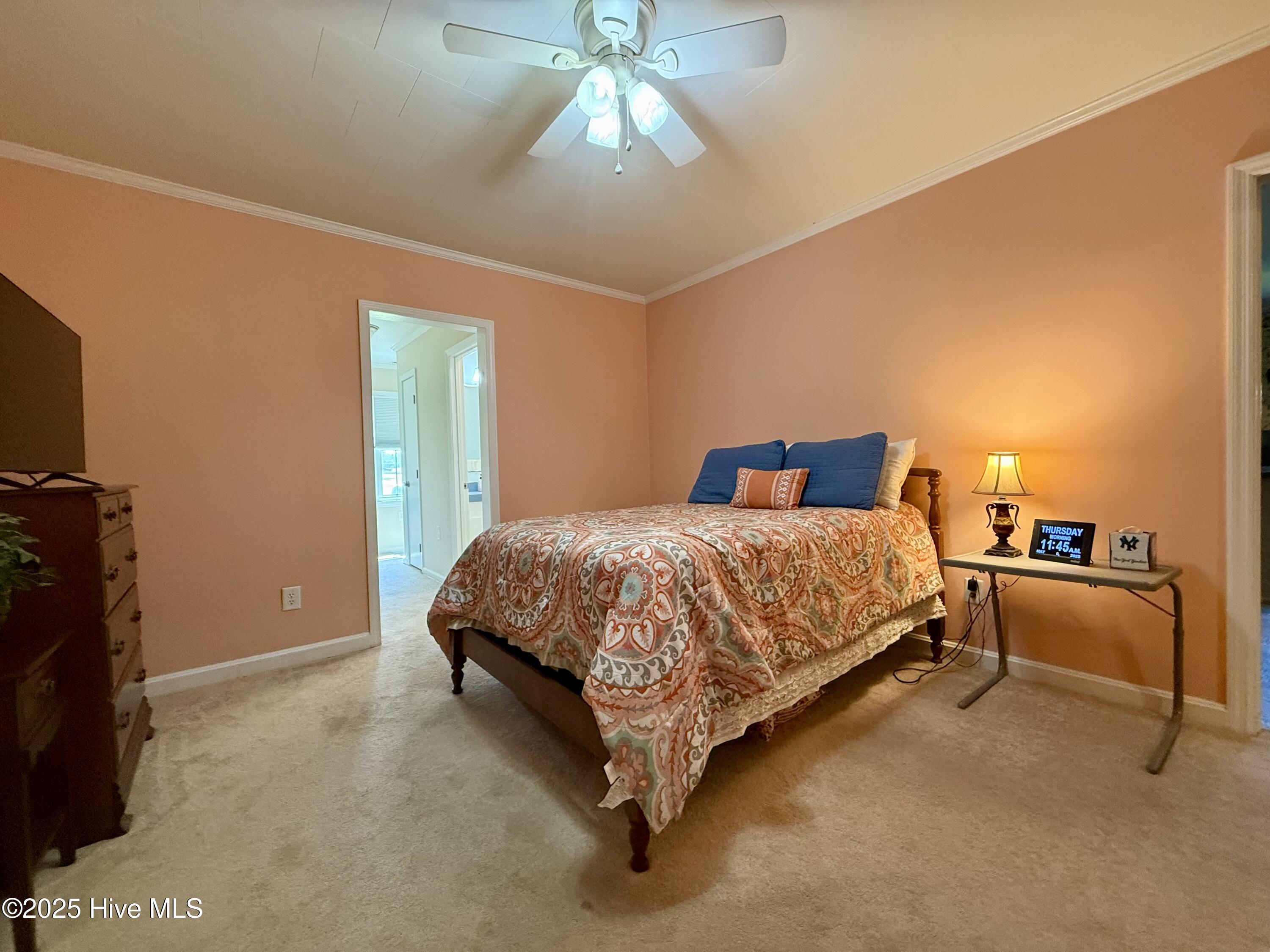 3773 Bear Grass Road Williamston, NC 27892 - Photo 31 of 55 Primary Bedroom