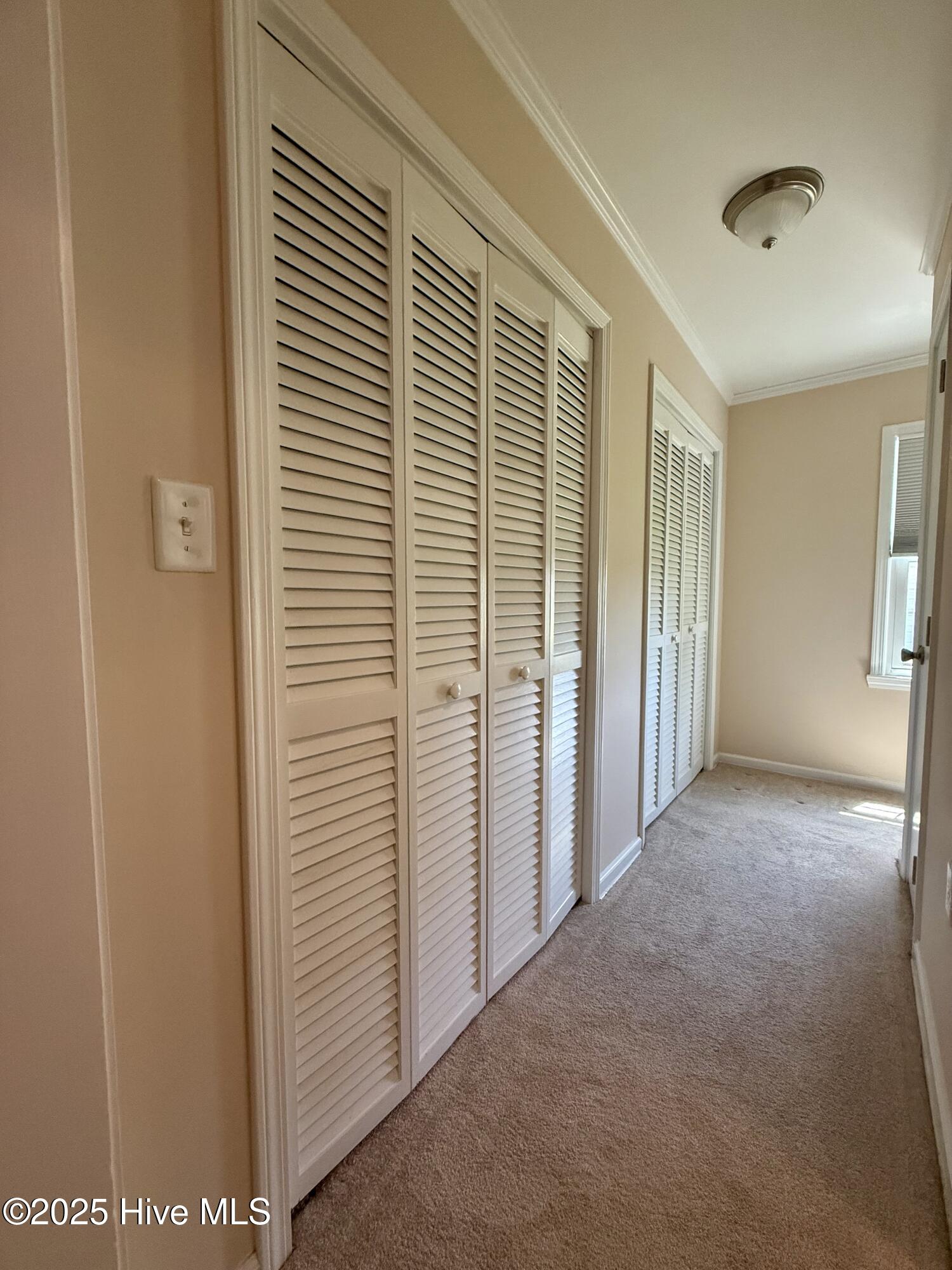3773 Bear Grass Road Williamston, NC 27892 - Photo 36 of 55 Primary Bedroom Closets