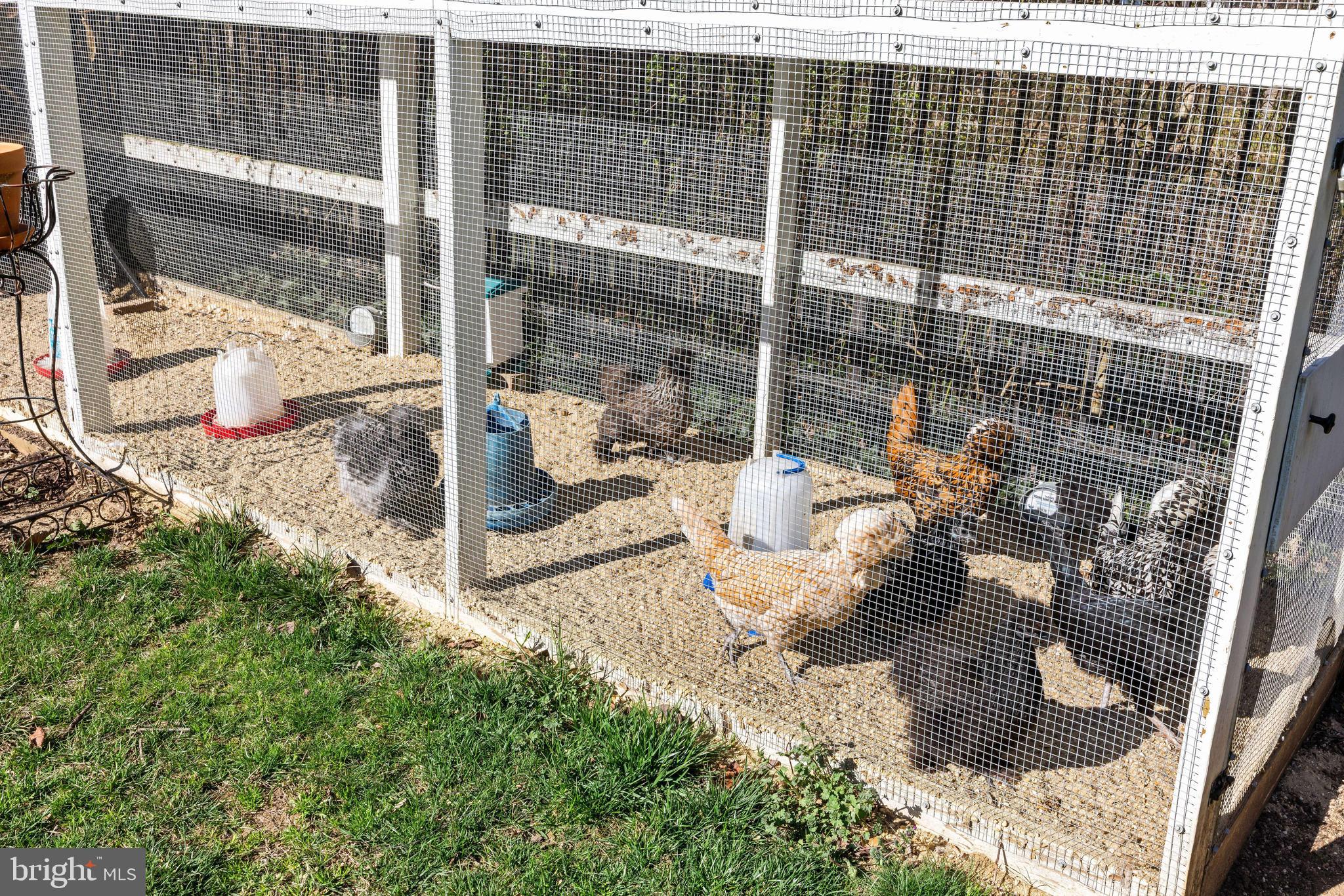 1344 Tydings Road Annapolis, MD 21409 - Photo 34 of 43 Chicken coop