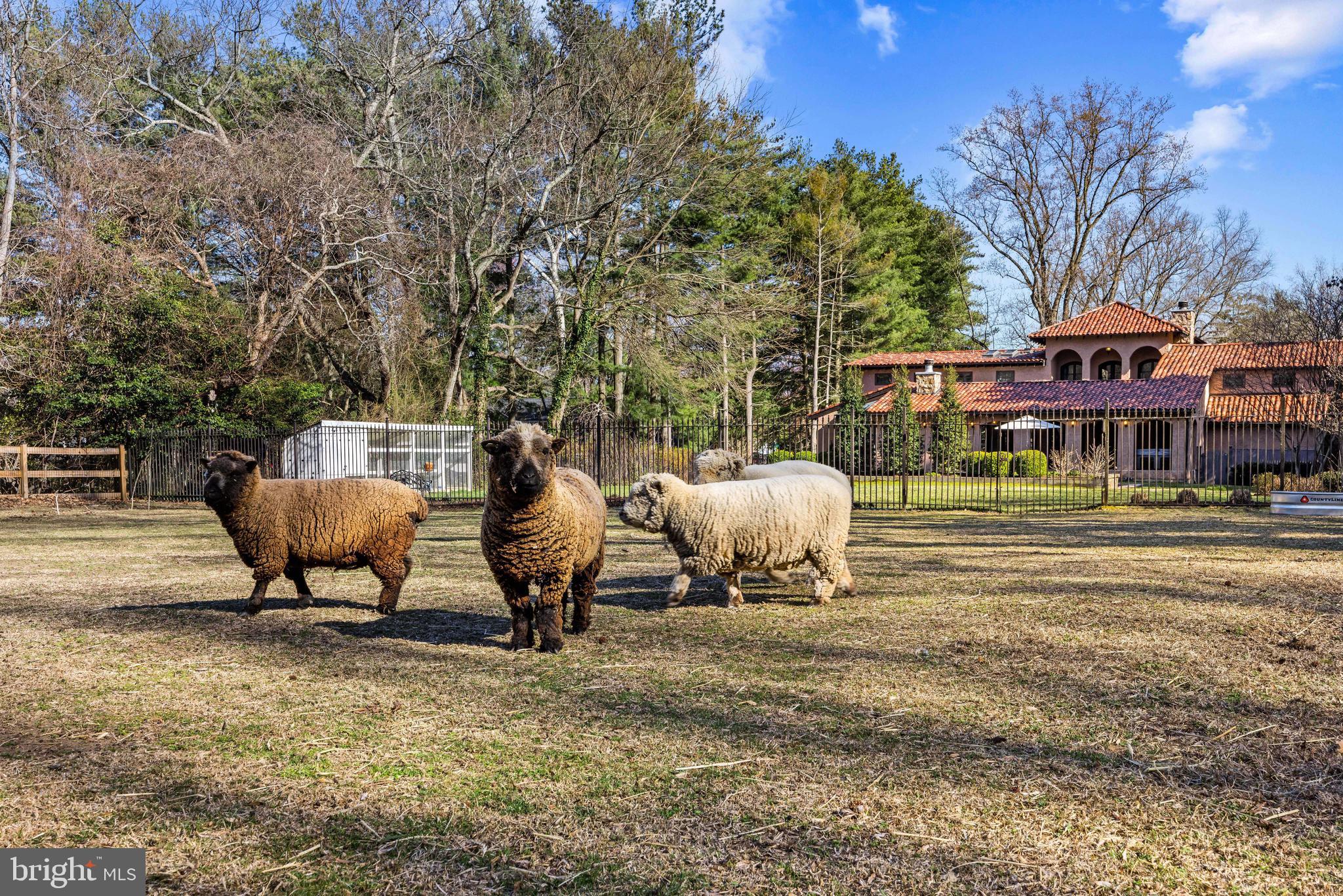 1344 Tydings Road Annapolis, MD 21409 - Photo 4 of 43 Bucolic setting just minutes from Annapolis