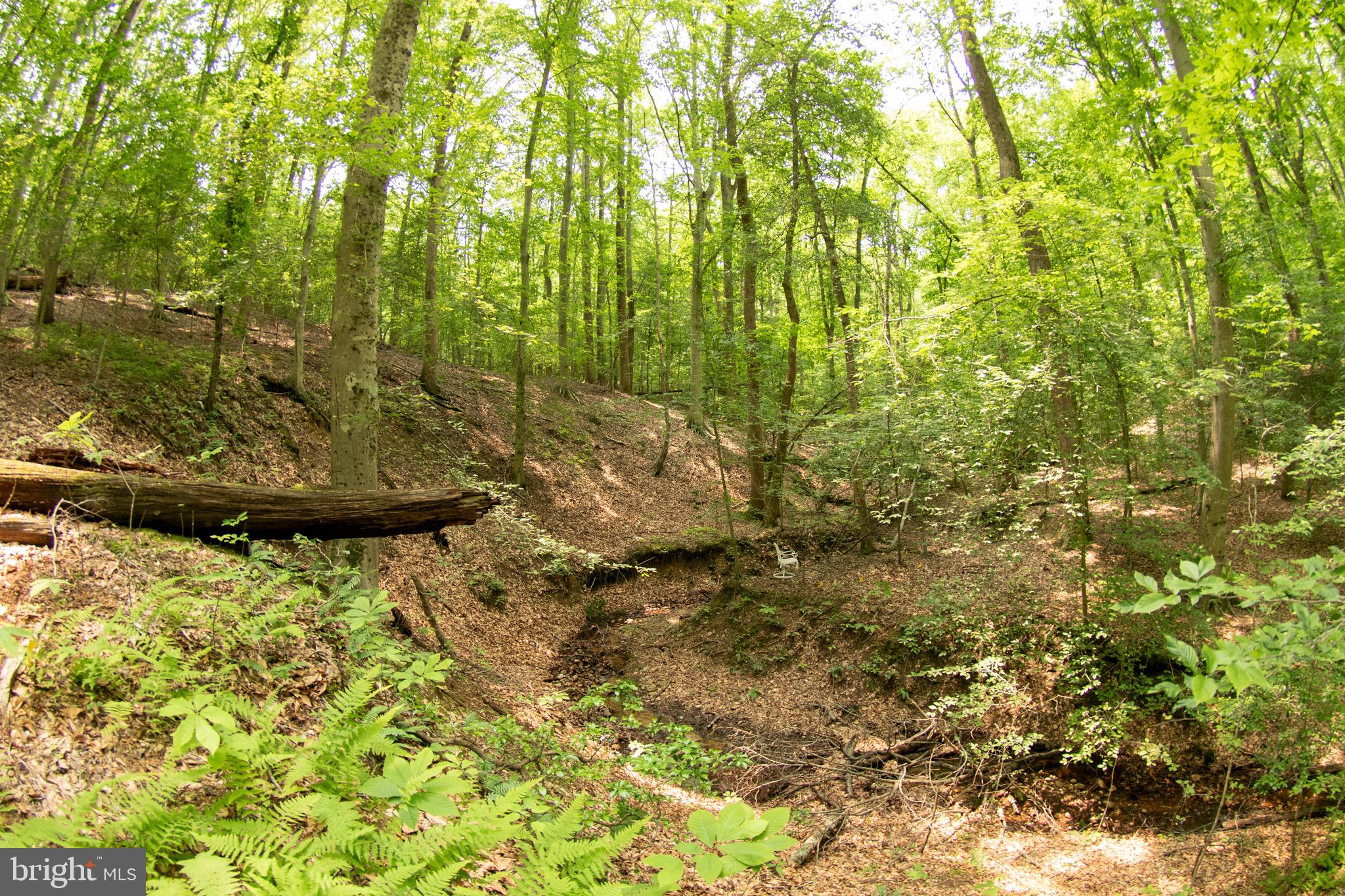 2720 Hidden Valley Road Accokeek, MD 20607 - Photo 36 of 43