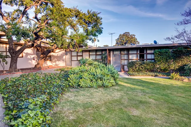 a view of a backyard with plants