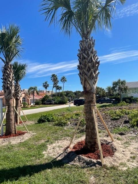4734 Riverglen Boulevard Ponce Inlet, FL 32127 - Photo 3 of 24 a view of a garden with a tree