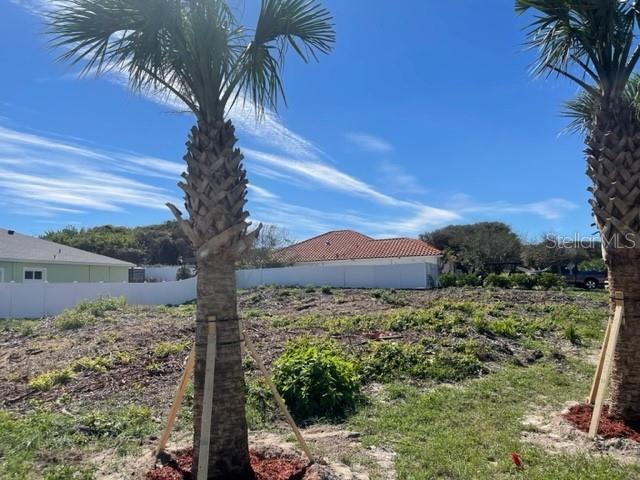 4734 Riverglen Boulevard Ponce Inlet, FL 32127 - Photo 5 of 24 a view of a yard with a tree