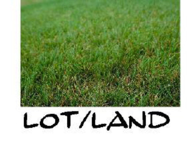 0 Rivers Run Waynesboro, GA 30830 - Photo 1 of 1 Main View