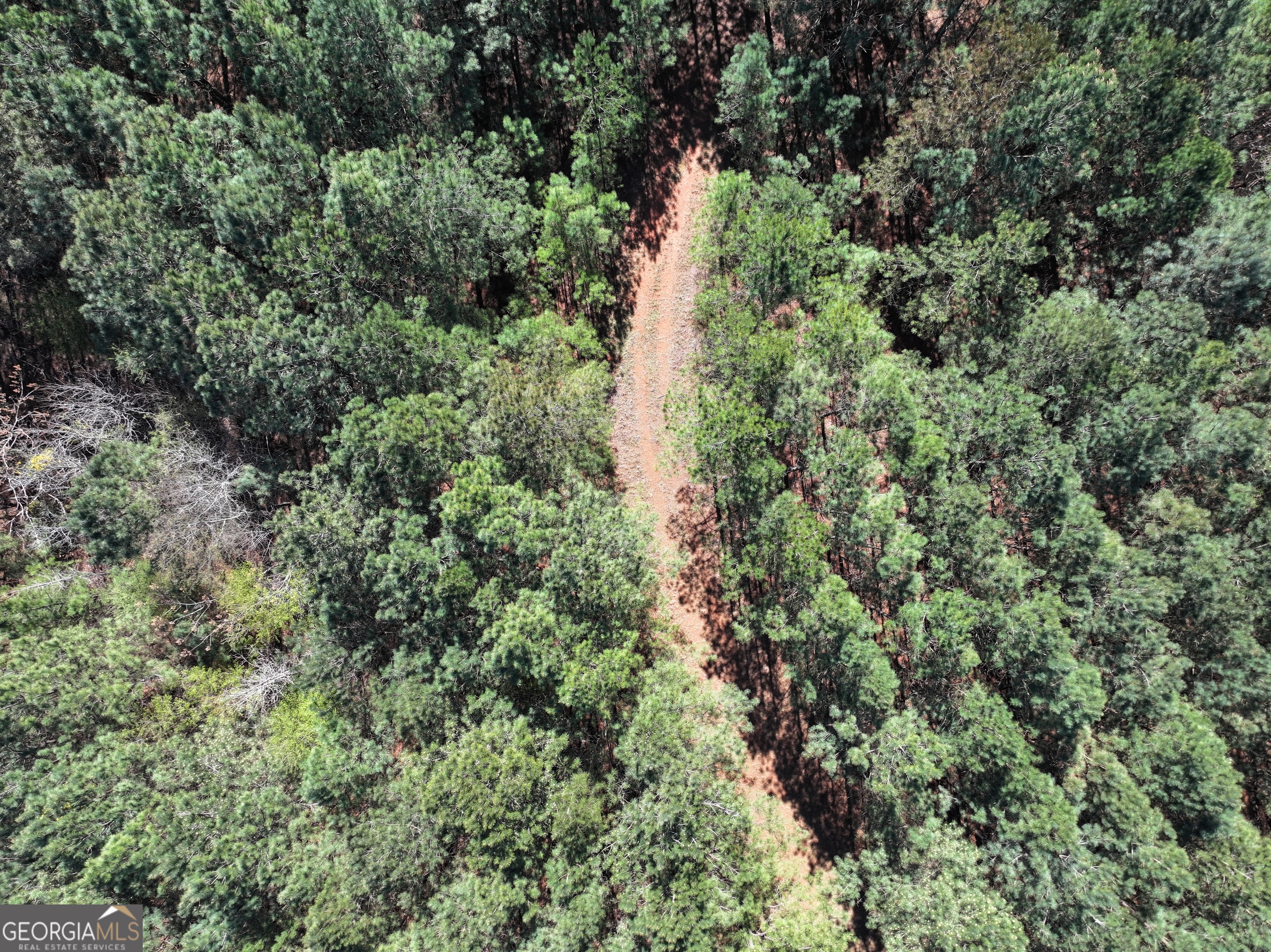257 Acres On Ridgeway Road Franklin, GA 30217 - Photo 20 of 28