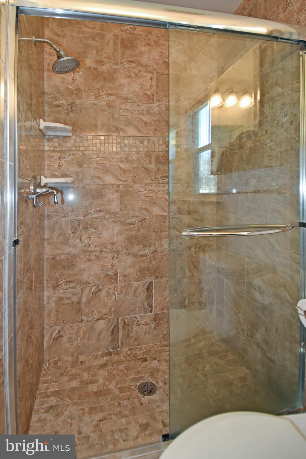 8418 Manassas Circle Vienna, VA 22180 - Photo 18 of 43 Main bathroom shower