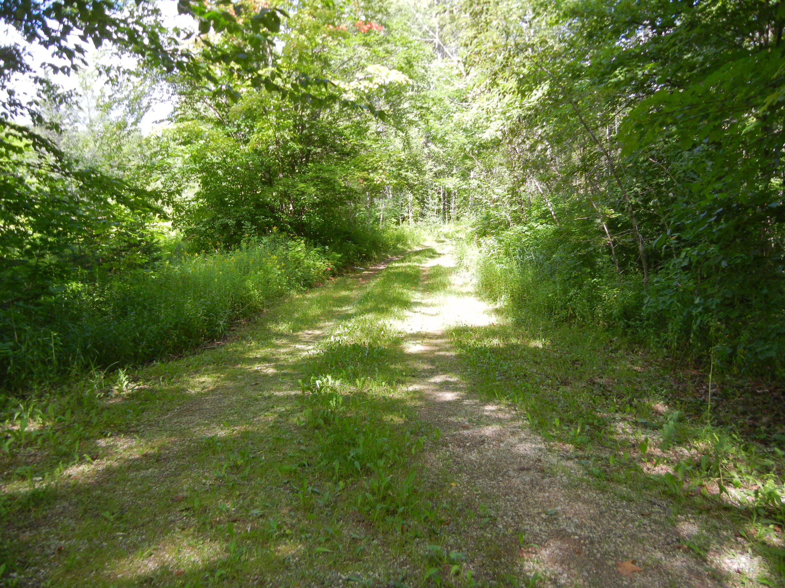 5648 West Poglese Road Hessel, MI 49745 - Photo 13 of 24 Gallery Image 13
