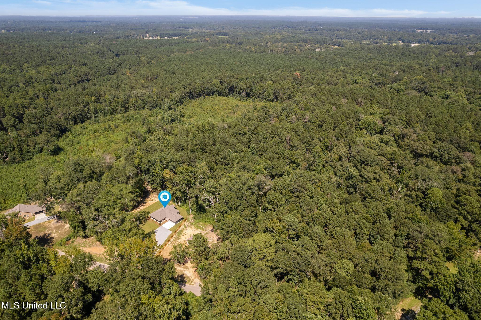 24 Atkinson Road Sumrall, MS 39482 - Photo 39 of 40 24_Atkinson_Rd-39