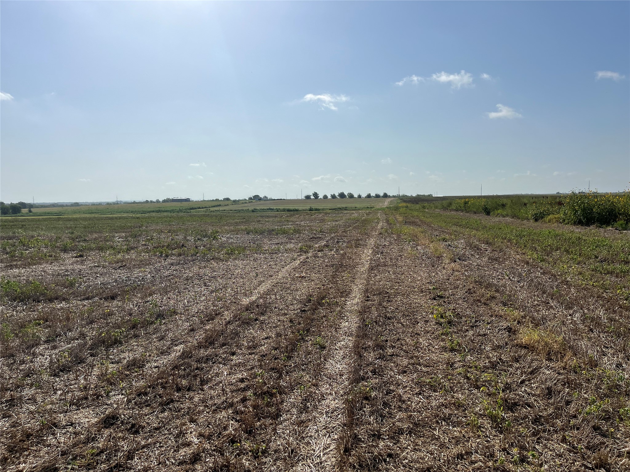 13000 Romberg Road Holland, TX 76534 - Photo 12 of 19