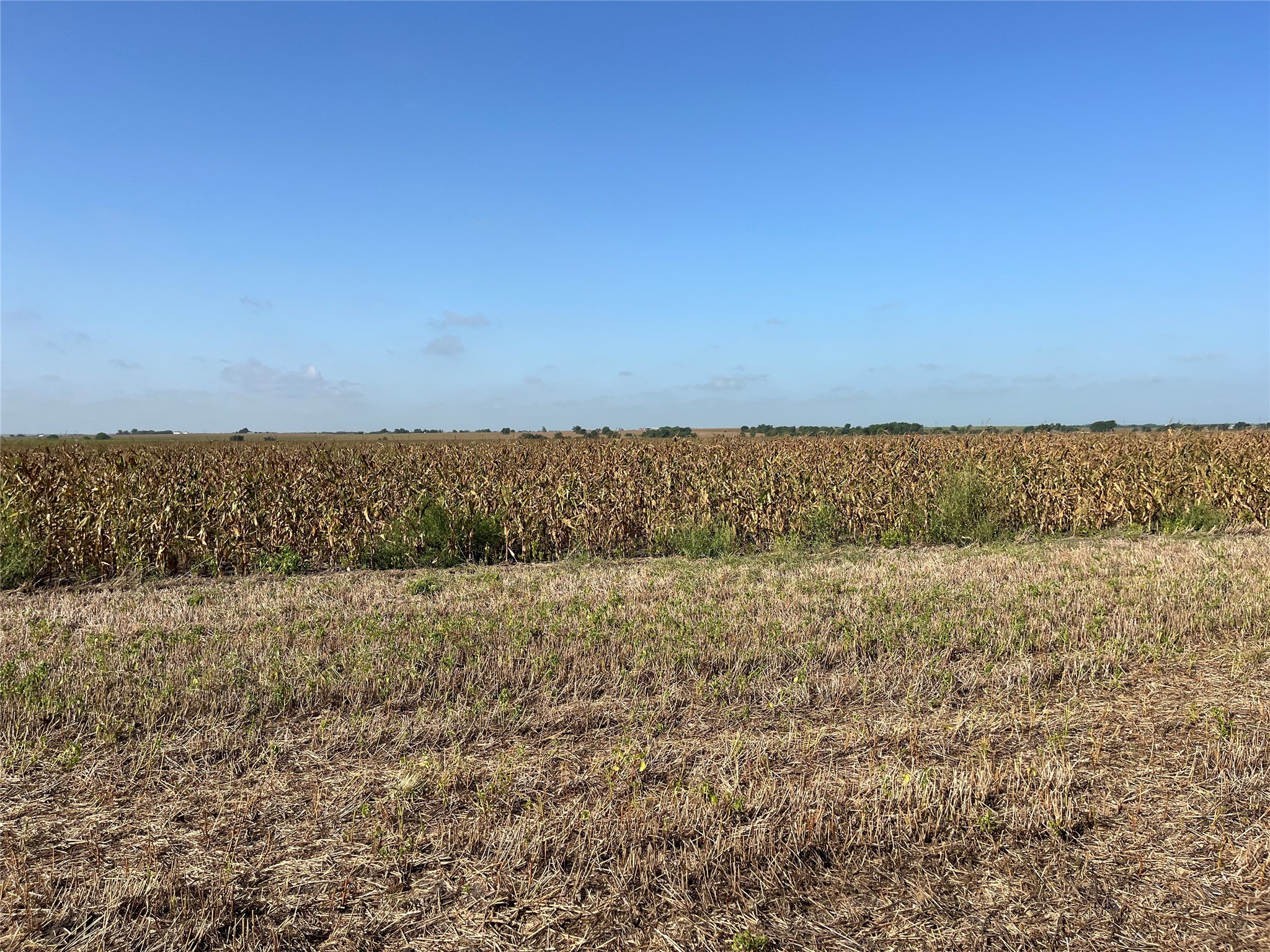 13000 Romberg Road Holland, TX 76534 - Photo 14 of 19