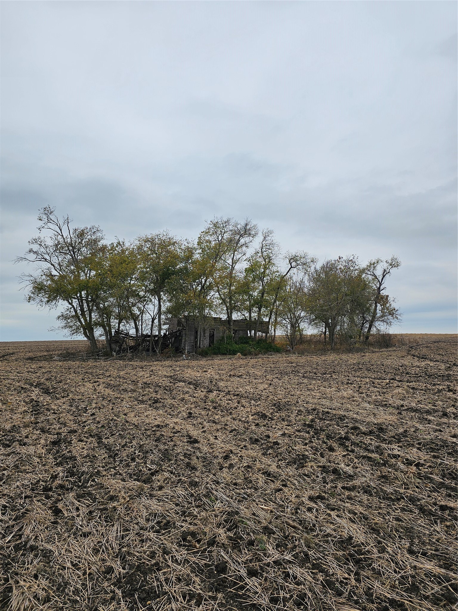 13000 Romberg Road Holland, TX 76534 - Photo 16 of 19