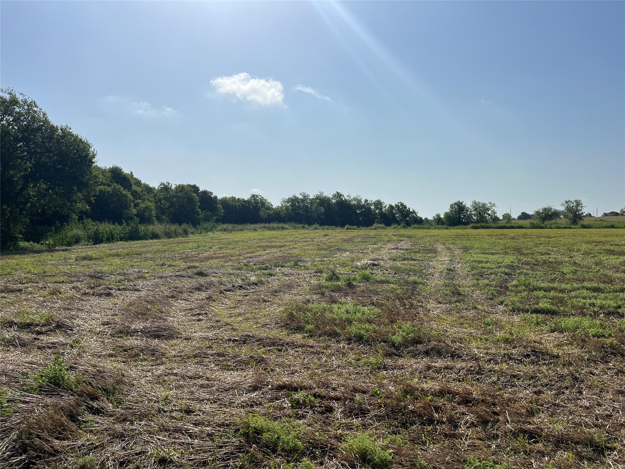 13000 Romberg Road Holland, TX 76534 - Photo 18 of 19